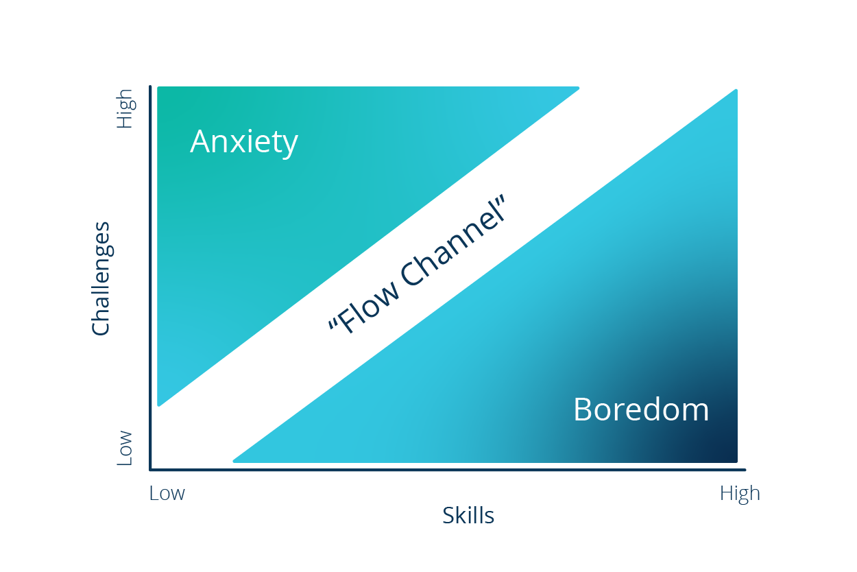 Flow Channel Diagram
