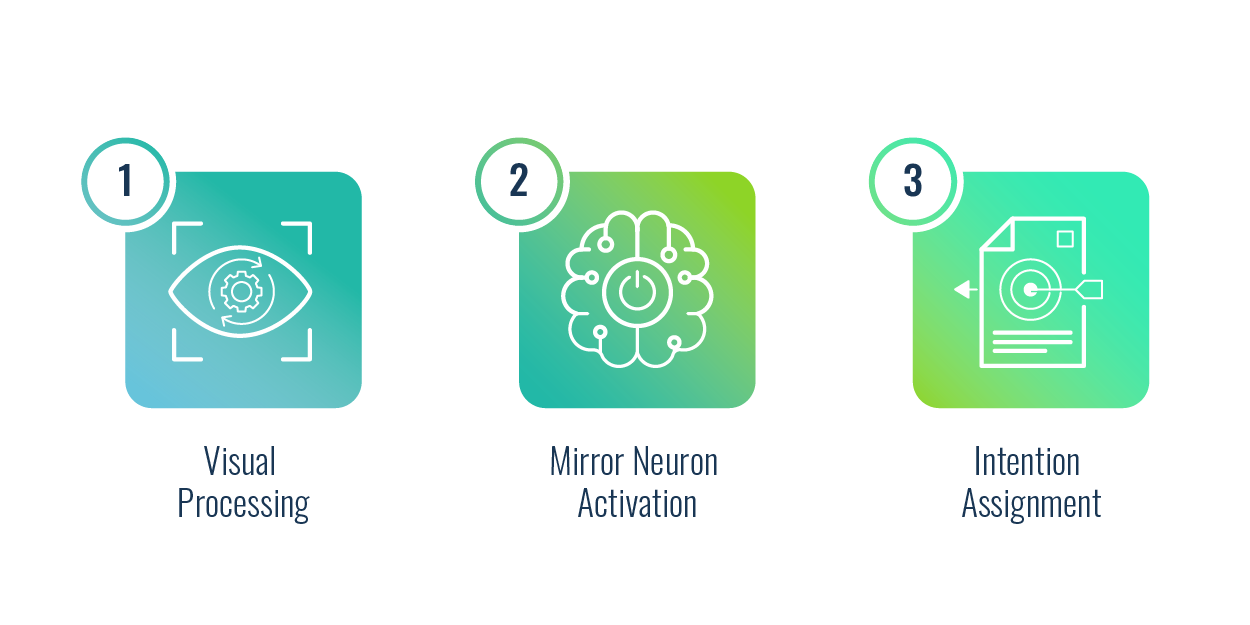 Mirror Neurons Diagram