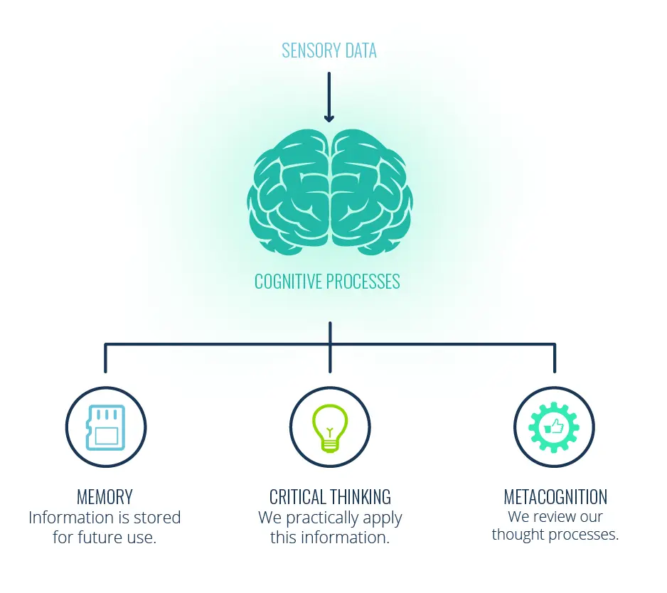 Cognitivism Learning Theory Diagram