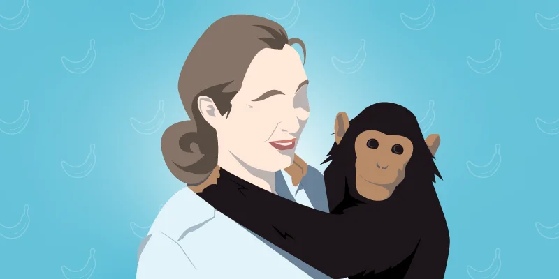 Jane Goodall - Adaptability Skills Unit